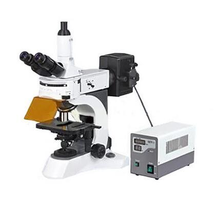 YG-800 Fluorescence Microscope, Trinocular Microscope, Clinical Diagnosis, Teaching Experiment, Pathological Examination