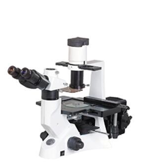 YG-100 Inverted Fluorescence Microscope