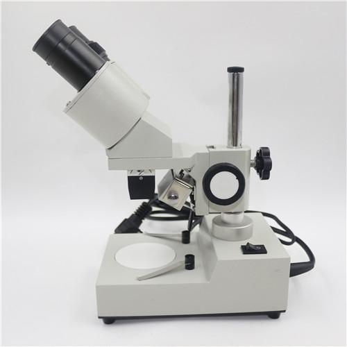 T2B 40x Binocular Stereo Microscope Solder Tool Insect Plant Watch Students Repairing Tool Illumination Children Kid Educational