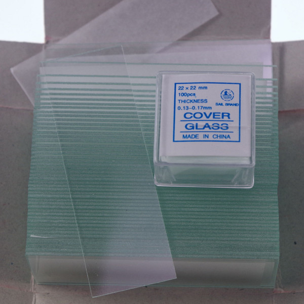 Wholesale-microscope slides 50pcs CLEAR & cover glass slips 200pcs 22X22 free shipping