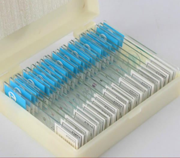 Prepared Microscope Slide Set for Basic Biological Science Education, 25 Slides, Includes Fitted Wooden Case