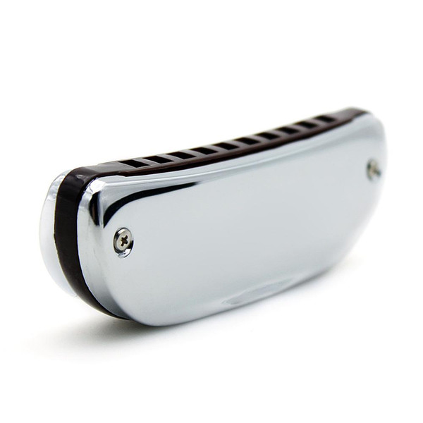 Key of C Diatonic Harmonica 10 Holes Blues Harp Mouth Organ with Case Cleaning Cloth Top Quality