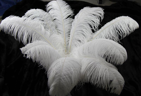 new 6-20 inch(15-50cm) white Ostrich Feather plumes for wedding centerpiece wedding party event decor festive decoration z134