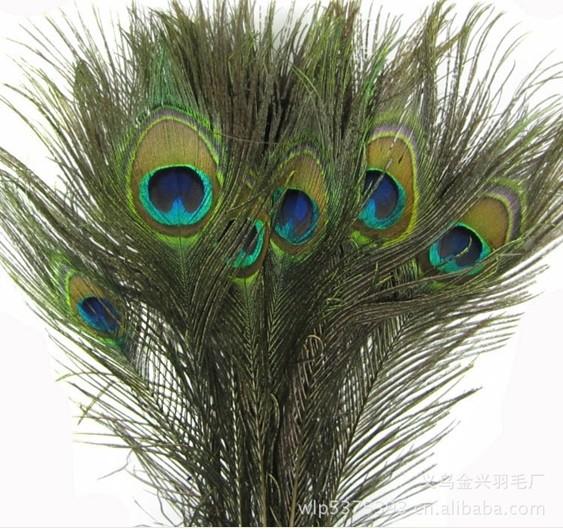 25 -30 CM Genuine Natural Peacock Feather Elegant Decorative Accessories For Party Decoration 200pcs/lot Free Shipping