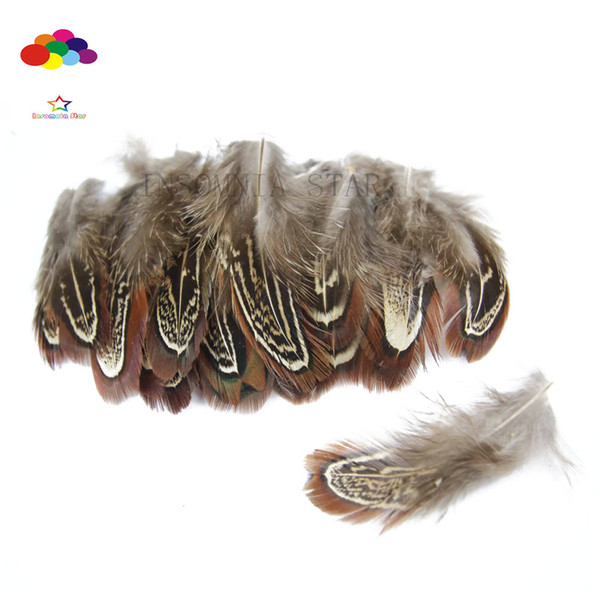 12 color Ringneck Pheasant Feathers Premium 5-8cm/2-3inch craft unique colorful patterned real feathers