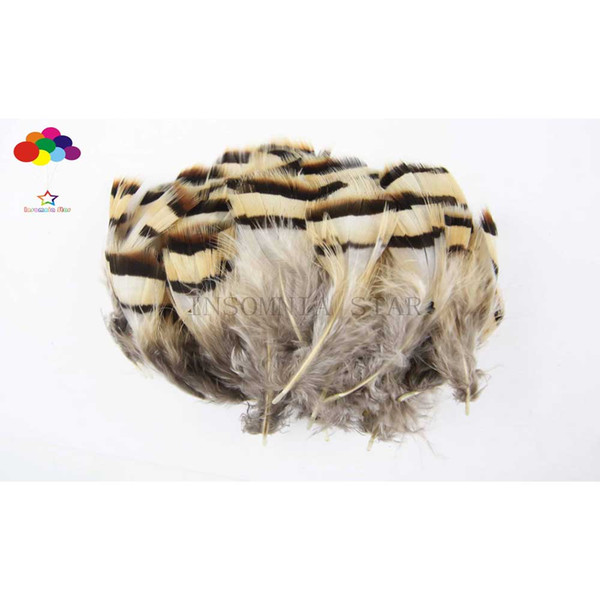 Lady Amherst Pheasant Premium 5-8cm/2-3inch craft unique colorful patterned real feathers