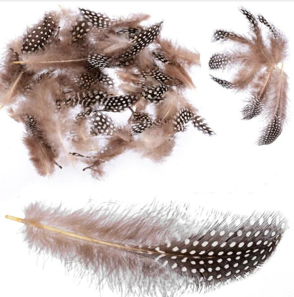 Spotted Guinea Fowl Plumage Feathers Millinery 4.5-10cm For Crafts DIY Bags Clothes Decorations 300pcs/set