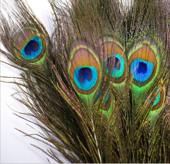 Pure Natural Peacock Feather Imported Peacock Ling Tail Wedding Feather DIY Home Vase Decoration 110-120 cmW817