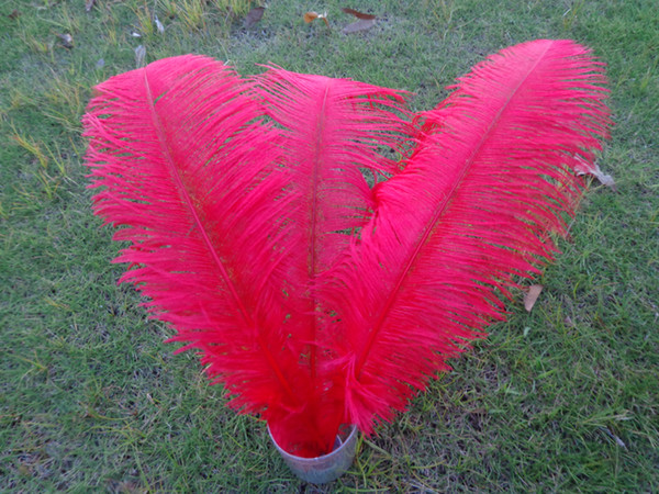 Wholesale_100 pcs a lot 6-24inch red Ostrich Feather Plume for Wedding Centerpieces table decoration