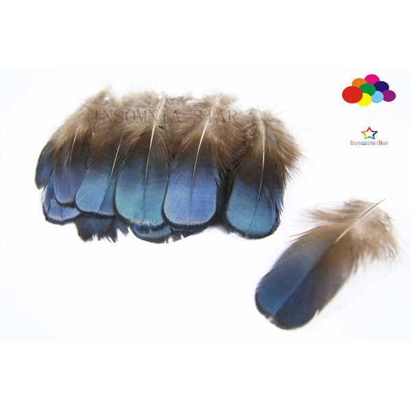 Lady Amherst Blue Pheasant Premium 4-8cm/1-2inch craft unique colorful patterned real feathers