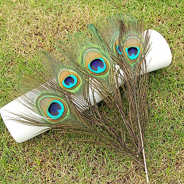 25-30 CM Natural Peacock Feathers Elegant Decorative Accessories Genuine Natural Peacock Feathers for Party Clothing Bag Decoration