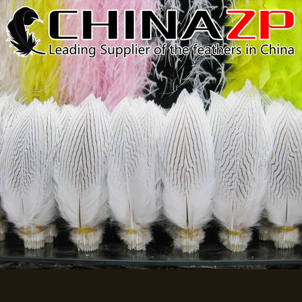 CHINAZP Crafts Factory 50pcs/lot 25~30cm(10~12inch) in Length Selected Prime Quality Bleached White Silver Plumes Feathers