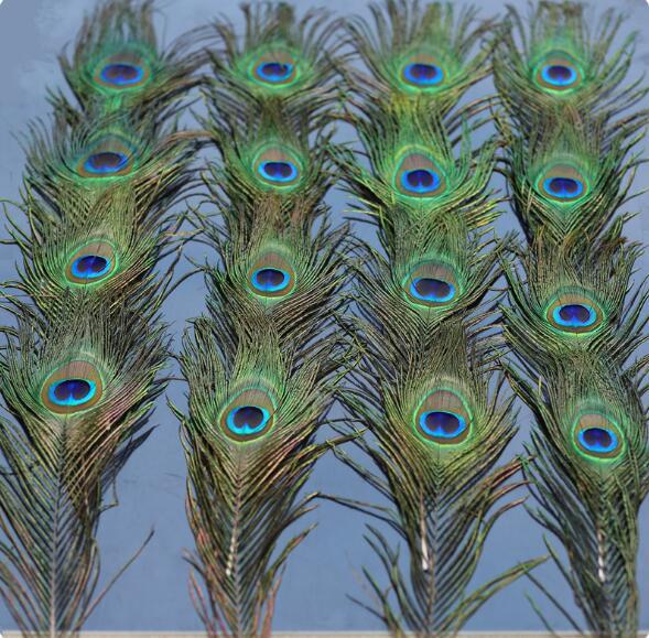 Natural Peacock Feather Home Decoration Wedding Flower Arrangement Big Eyes 80-90 cm W818