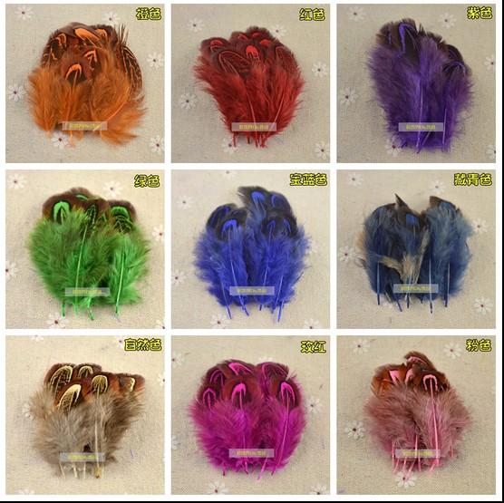 10 colors Brand new high quality 1000pcs/lot 5-10 cm / 2-4 inches Pheasant feather festival dance party supplies