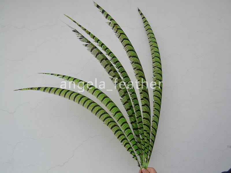 High Quality 50pcs/lot Lime Green 30-35inch/80-90cm Natural Dyed Lady Amherst Pheasant Tail Feather Hair decoration