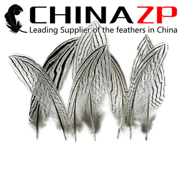 Gold Supplier CHINAZP Crafts Factory 50pcs/lot 20~25cm(8~10inch) Length Top Quality Natural Silver Pheasant Plumage Feathers