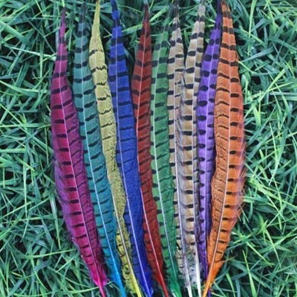 5pcs/Lot Pheasant Feather Goose Feather Christmas wedding dance costumes hat earrings Decorative materials Feather optional