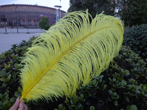 Wholesale_100 pcs a lot 6-24inch yellow Ostrich Feather Plume for Wedding Centerpieces table decoration