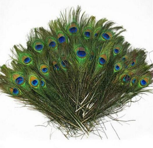 Feather Hot-selling 30CM Indian Blue Peacock Feather Garment Jewelry Feather Natural Collection 200 bales W819