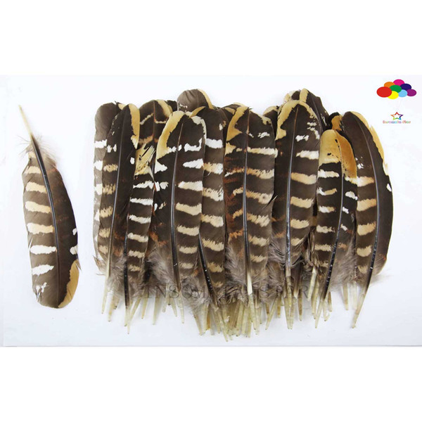 Reeves Venery Pheasant Premium 15-20cm/6-8inch craft unique colorful patterned real feathers