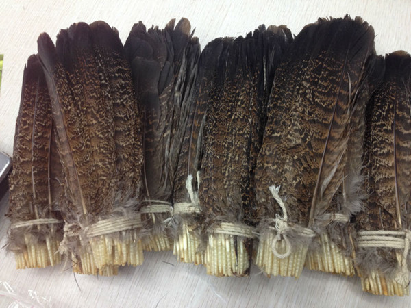 Wholesale 10-100 PCS precious USA wild turkey tail feathers 6-8 inches/ 15-20 cm Festival and party supplies > > celebration party supplies