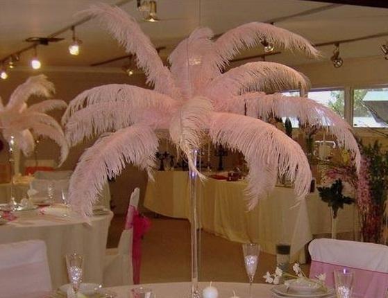 100pcs/lot 14-16inch(35-40cm) Pink and white ostrich feathers plumes Wedding centerpieces feather decor home table decor z134