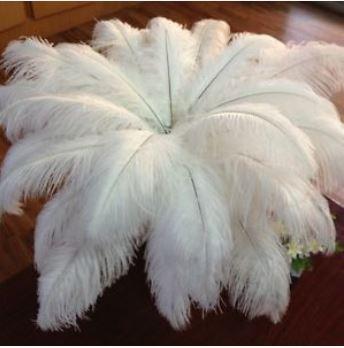 high quality 10-12inch Ostrich Feather Plume white color for Wedding party table centerpiece decoration #Z134