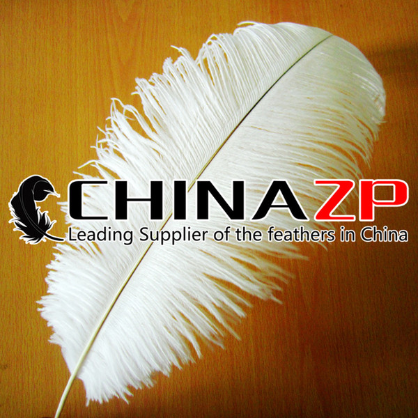 Leading Supplier CHINAZP Factory Large Size from 22inch to 24inch (55-60cm) Selected Prime Quality Dyed Cream Ostrich Feather Centerpieces