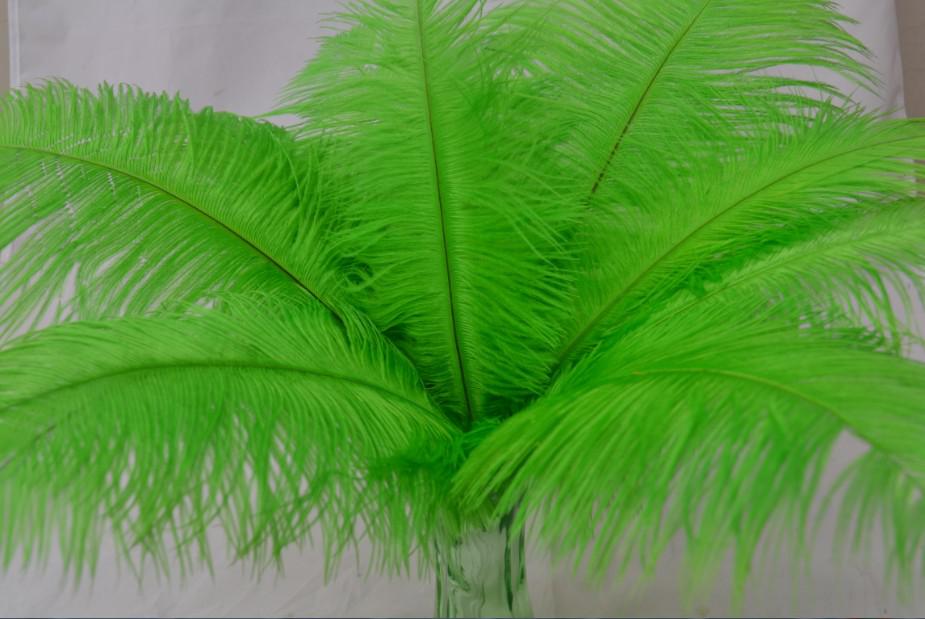 Wholesale 100pcs/lot 14-16inch(35-40cm) Lime Green ostrich feather plumes for Wedding centerpieces Home Decor party supplies