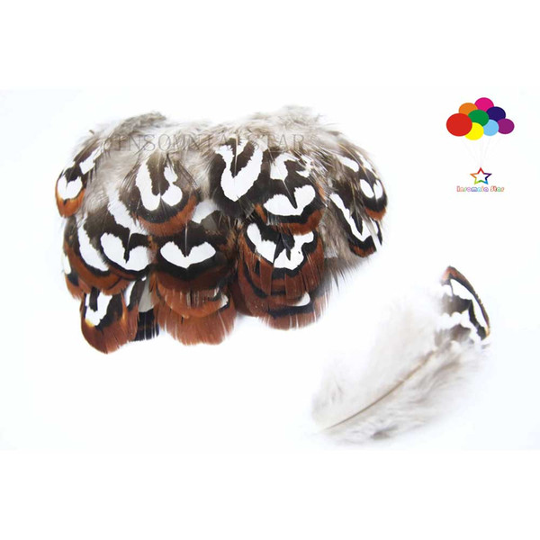 Coffee Reeves Venery Pheasant Premium 5-8cm/2-3inch craft unique colorful patterned real feathers