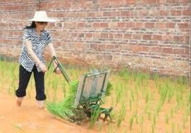 Manual portable rice transplanter, hand cranked rice paddy transplanter,manual planter,seeder