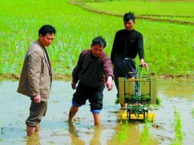 2018 2 rows hand crank rice transplanter, manual paddy planter, rice seeder machine