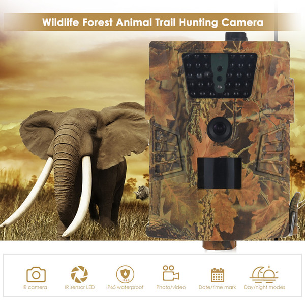 Trail Camera 12MP 1080P 30pcs Infra LEDs 850nm Hunting Camera IP65 Waterproof 120-Degree Angle Wild