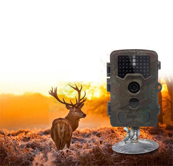 2.4 inch LCD Waterproof 1080P HD PIR Wildlife Scouting Game Hunting Trail Camera DVR With 46pcs IR Night Vision LEDs TV Out