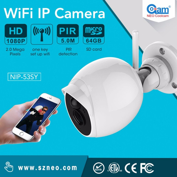 Freeshipping 1080P HD IP Camera IP66 Waterproof Wifi P2P Server Motion Detection Night Vision Web Camera Support 64G TF Card With PIR