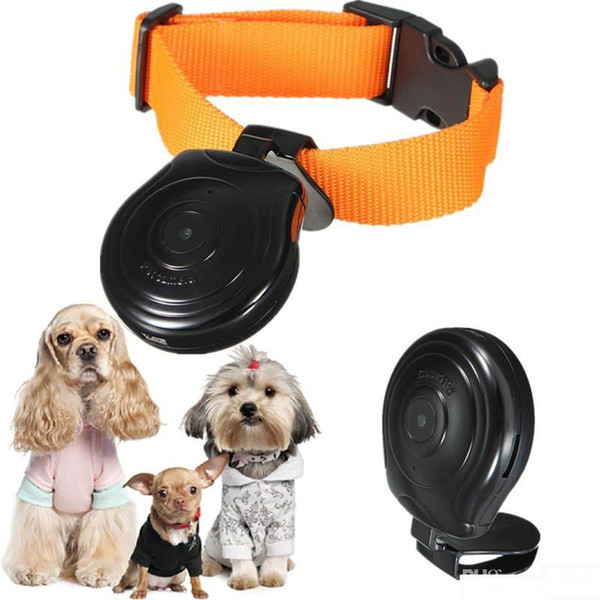 Hot sale Pet's Eye View Camera for dogs cats Digital Mini DV Clip-On Collar Pet Video Camera Camcorder with LCD screen