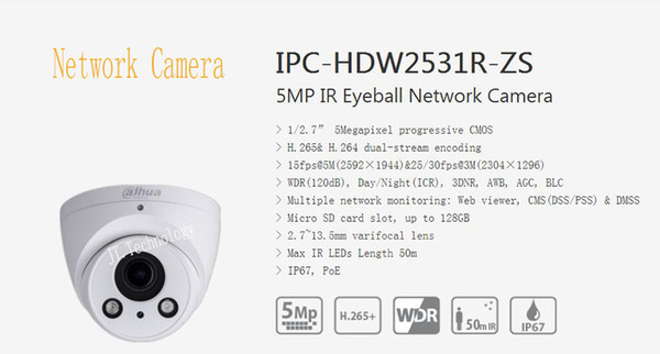 In Stock DAHUA 5MP CMOS WDR IR Eyeball Network Camera With POE IP67 with Logo DH-IPC-HDW2531R-ZS