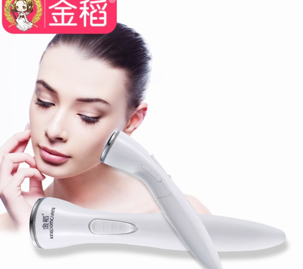 Facial Massage Pen Nutrition Importing Instrument Facial Importing Instrument for Family Massage and Beauty Apparatus