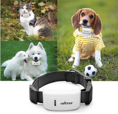 2016 Mini Pet GPS Tracker Waterproof For Dog Cat Control Real Time Positioning Tracking via iOS & Android App 4 colors TKStar