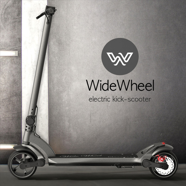 Electric Skateboard for Widewheel 500W Two Wheel Electric Scooters 48V Wide Wheel Dual moter scooter