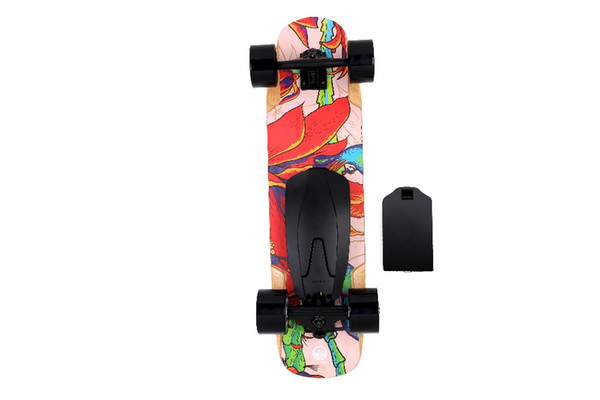 Free shipping Electric Scooter Canadian Maple Electric Skateboard 500W