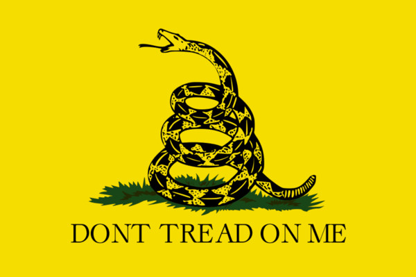 DONT TREAD ON ME Flag 90*150CM The Gadsden Flag American Yellow Snake USA Outdoor Party Flags 3x5 Ft By DHL