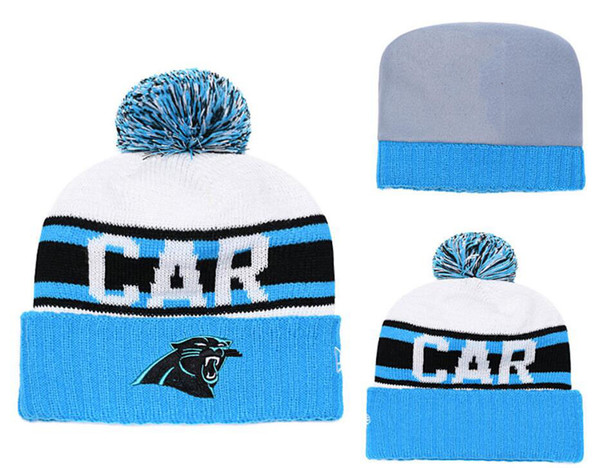 Wholesale top quality Carolina Sport Winter Hats Panthers Stitched Team Logo Brand Warm Men Women Hot Sale Knitted Caps Cheap Mixed Beanies