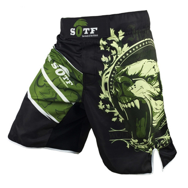 New Green Bear Fitness Breathable Mma Fighting Workout Shorts Tiger Muay Thai Boxing Shorts Kickboxing Shorts Pretorian Yokkao