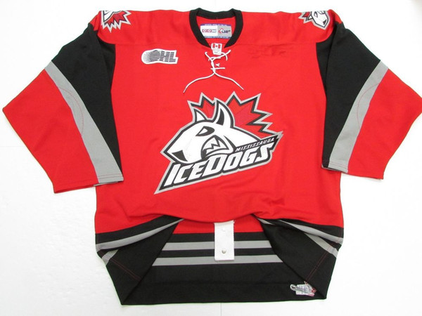 High quality embroidery Mississar ice dog hockey jersey Embroidery Stitched Customize any number and name Jerseys