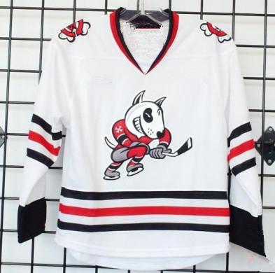 Niagara IceDogs Hockey Jersey Black Embroidery Stitched Customize any number and name Jerseys