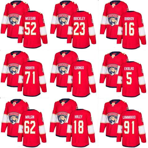 Customized Mens 2018 Florida Panthers Stitched Ice 1 Roberto Luongo 5 Aaron Ekblad 16 Aleksander Barkov 23 Connor Brickley Hockey Jerseys