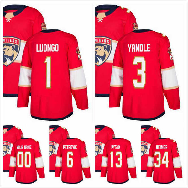 Roberto Luongo Jersey 1 Keith Yandle 3 James Reimer 34 Mark Pysyk 13 Alex Petrovic 6 Mens Ice Hockey Jerseys 2018AD Florida Panthers S-3XL