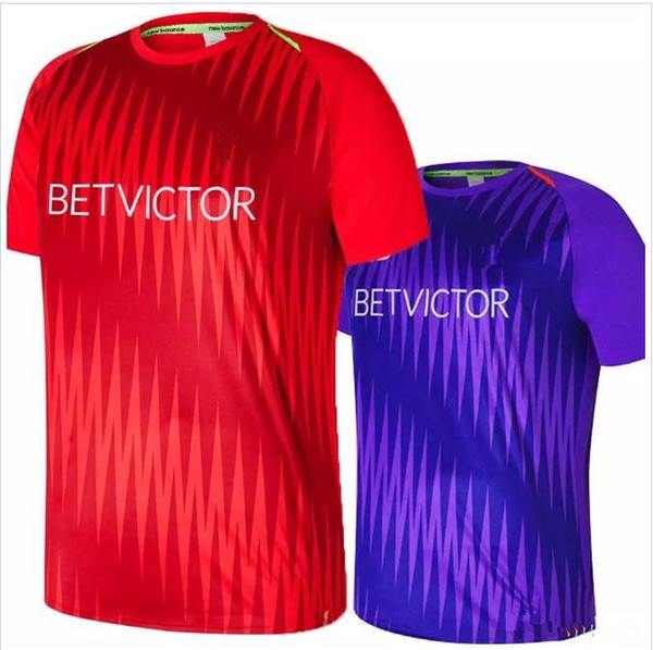 Best Quality Long sleeve goalkeeper jersey #13 A.BECKER ALISSON M. SALAH LALLANA FIRMINO KEITA Training shirt Purple Red Football Shirt