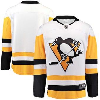 2019 Cheap Hockey Jerseys Pittsburgh Penguins Brian Dumoulin Custom USA Ice Jersey Blank Store personalized customized authentic womens kids